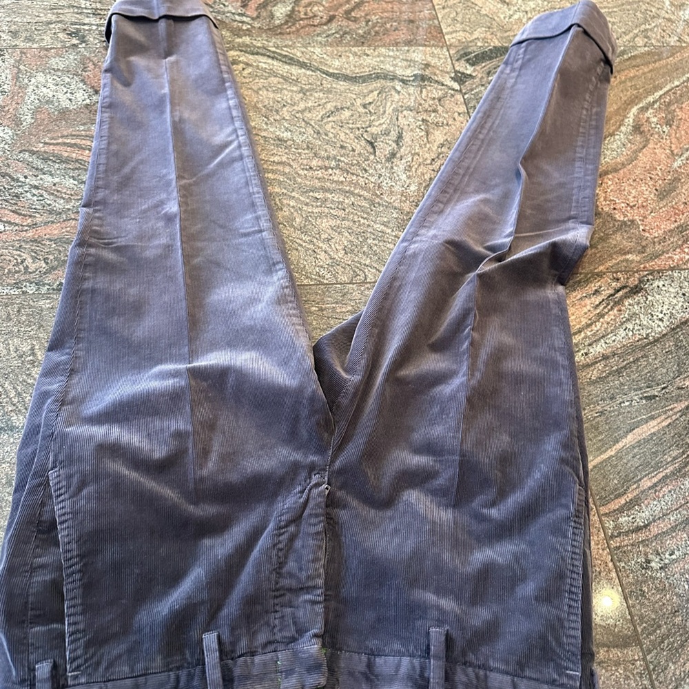 Stylish Purple Pants